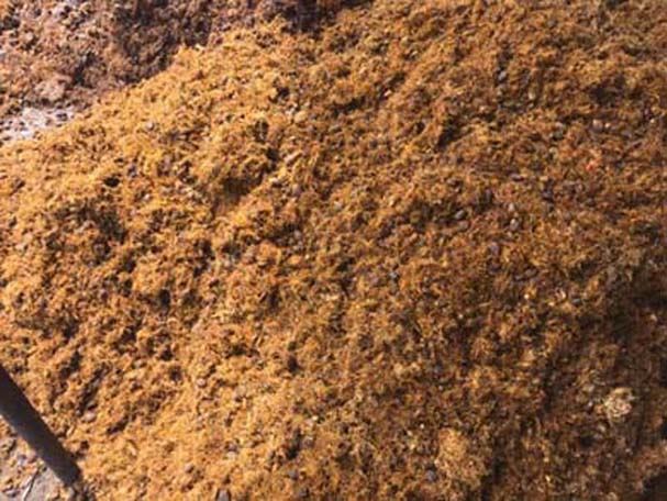 product-1-1 gasification and pyrolysis