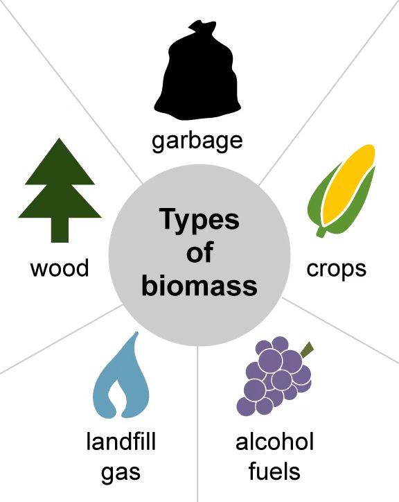 Vrste biomase